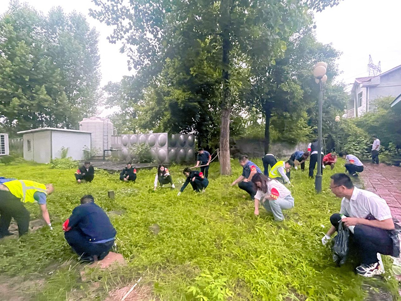員工齊心協力美化陣地(dì / de)建設環境.jpg